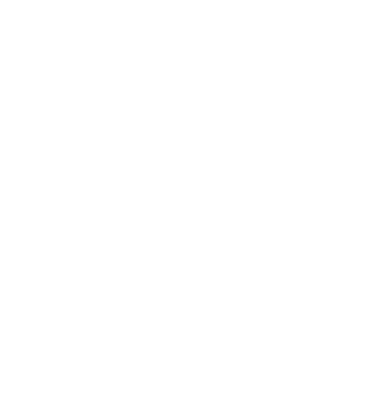 VickiLynn Chan merkaba logo